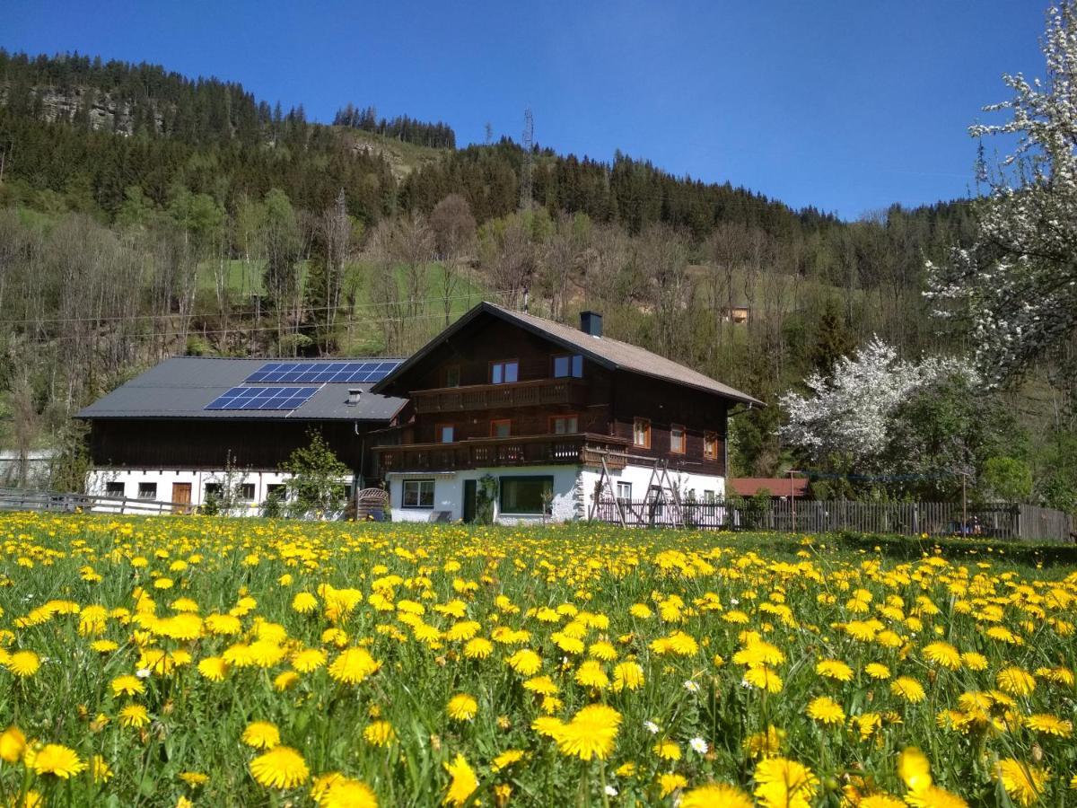 Blonbauer Schladming Exterior foto
