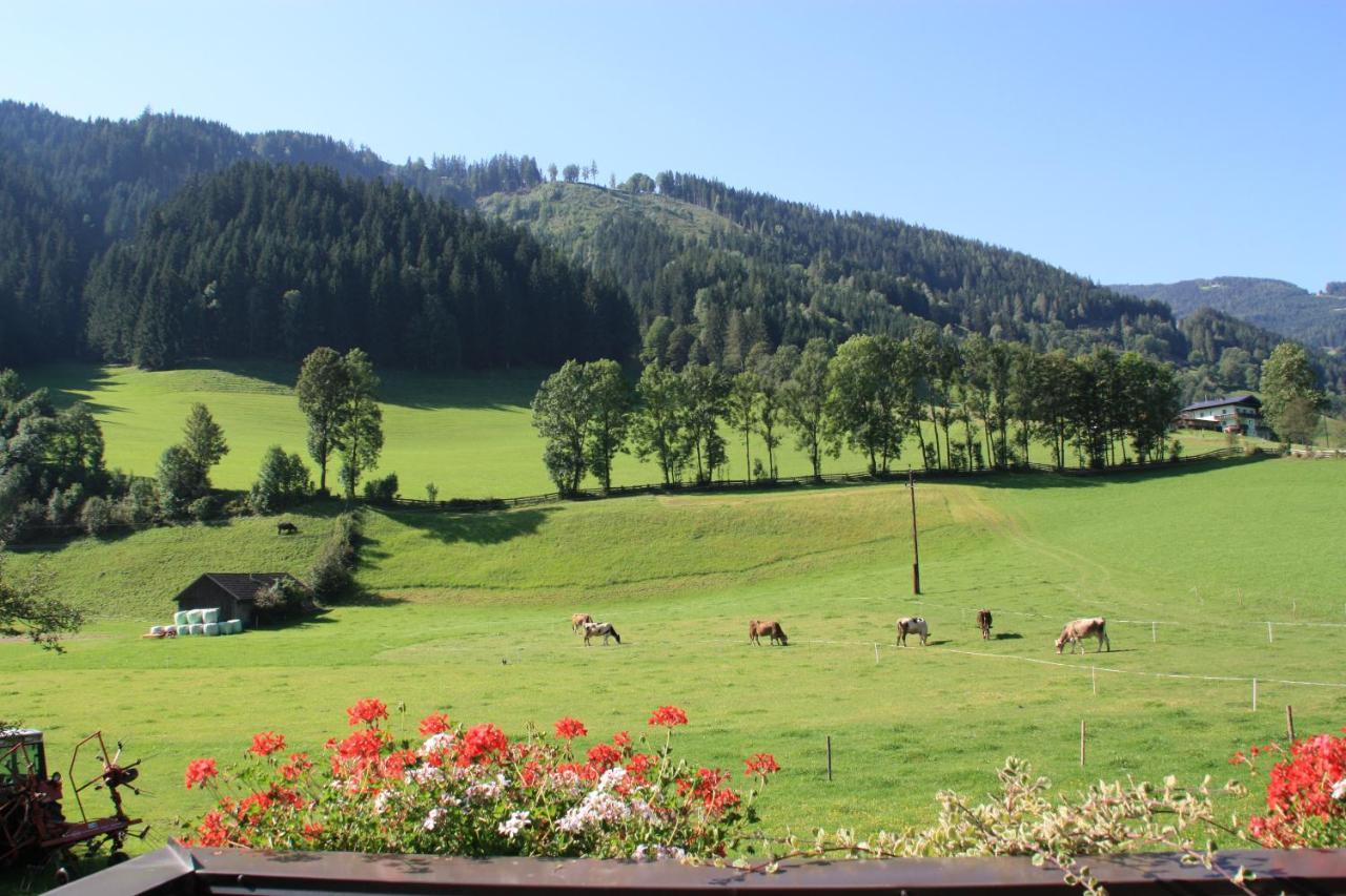 Blonbauer Schladming Exterior foto